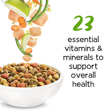 Purina® Beneful® Healthy Weight Dry Dog Food - Chicken
